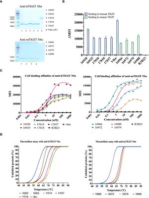 Development and evaluation of nanobody tracers for noninvasive nuclear imaging of the immune-checkpoint TIGIT